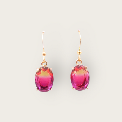 Ombre Earrings - Pink Punch