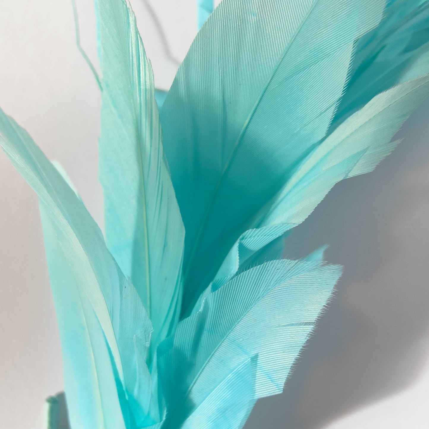 LILY- Contemporary Millinery Feather Headband - Various Colours